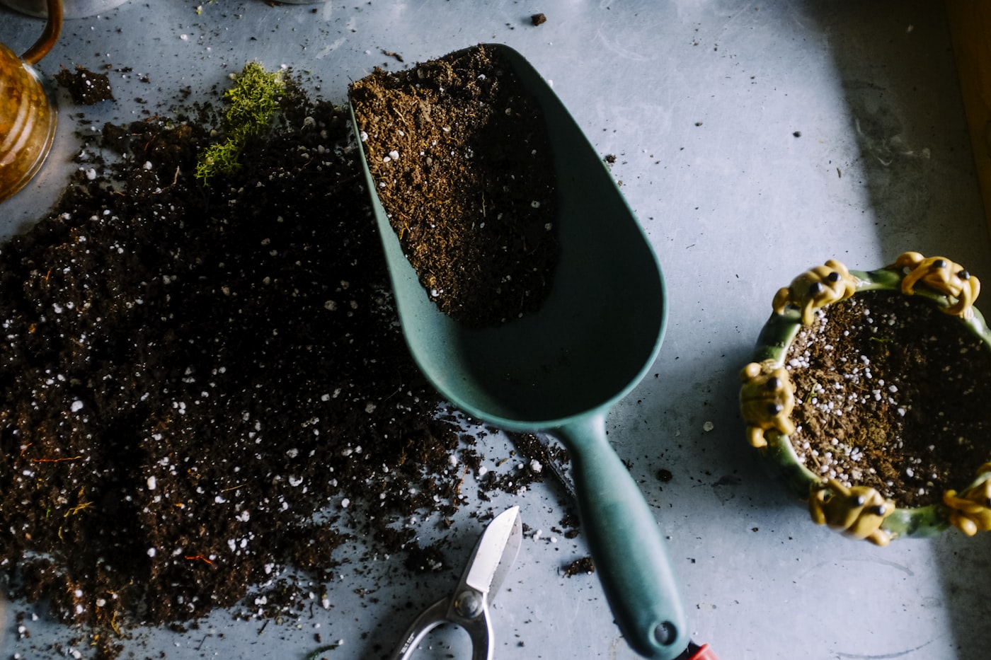 Potten en groen